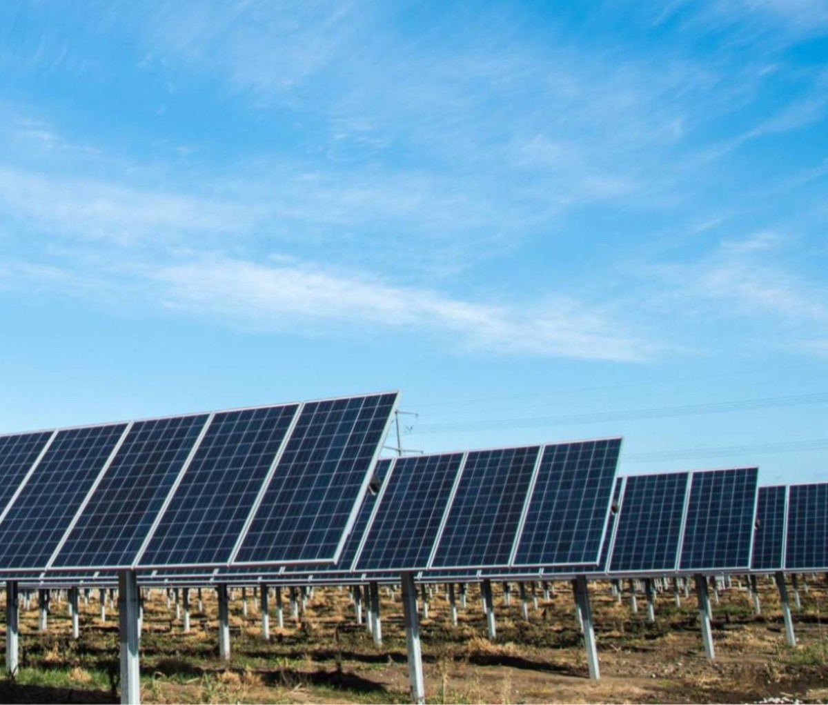 Your papa would be proud to receive any one of these Father's Day gift selections.